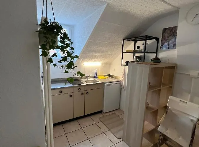 Appartamento Apartamento Lausanne *