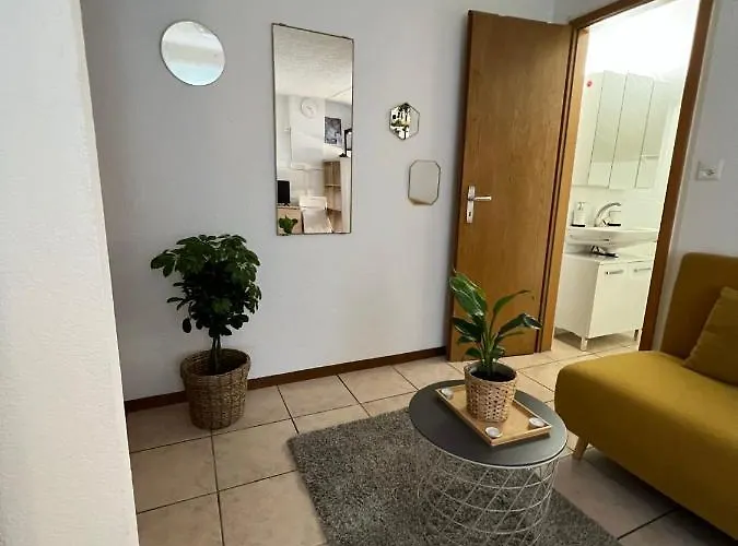 Apartamento Lausanne Апартаменты Лозанна