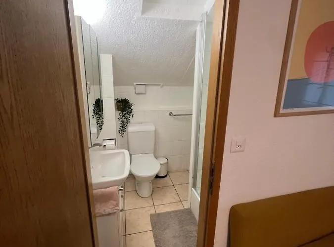 Апартаменты Apartamento Lausanne *